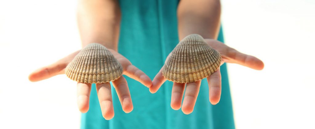 Ela Shell Compass Resource Management | Where good decisions happen